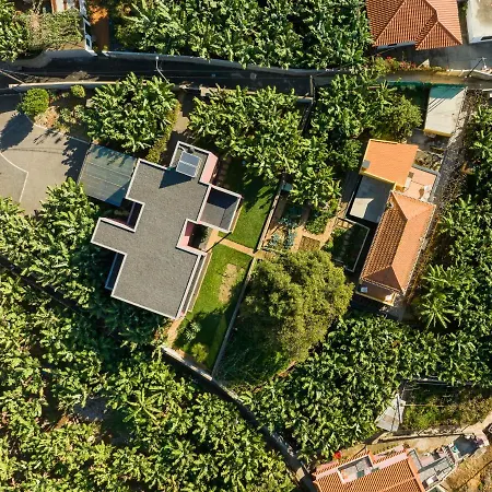 Casa D'avo Celina Tatil Evi