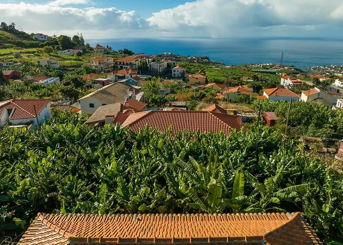 Casa D'avo Celina Ferienhaus Funchal (Madeira)